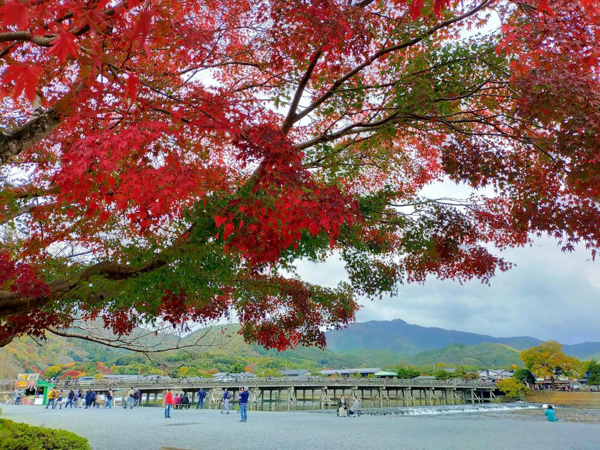 京都 岚山温泉 花传抄-共立度假区 外观 照片